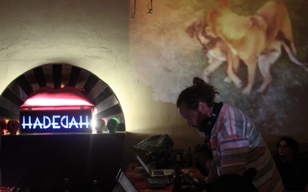 Hadedah – Taste Experiences