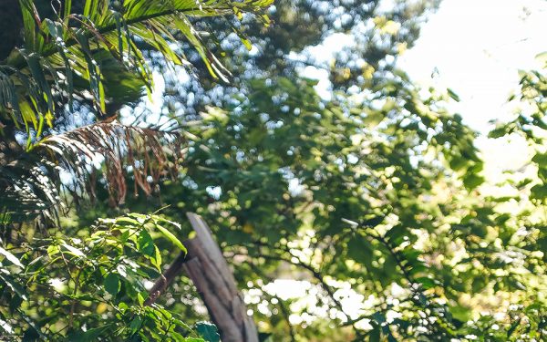 Kicks are the Catalyst: Mkay Frash and The Synthesis of Street Culture