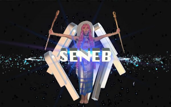 SENEB House – Curing the Colonial Wound