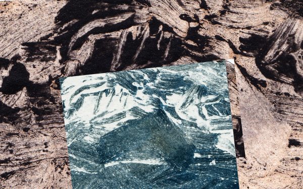 Bateleur- First And Final