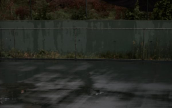 Angel Ho- Energy Without Restraint