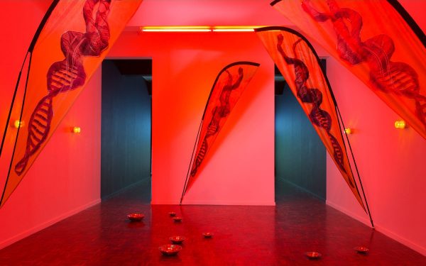 Simunye Summit 2010- The Futuristic Past