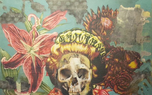 Khaya Witbooi // A Floral Kingdom of Historic Imperialism