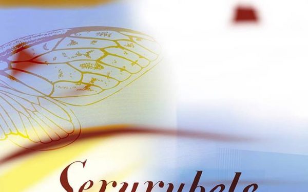 Katleho Kano Shoro: ‘Serurubele’ poetry collection take off and the writing on the wings