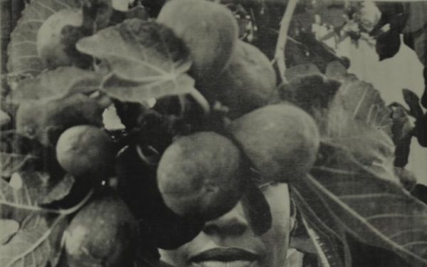 Zohra Opoku // Threaded history