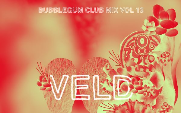 Bubblegum Club mix Vol 13 by VELD