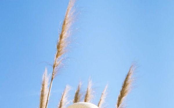 Wonderverse (e) // an experimental fashion film