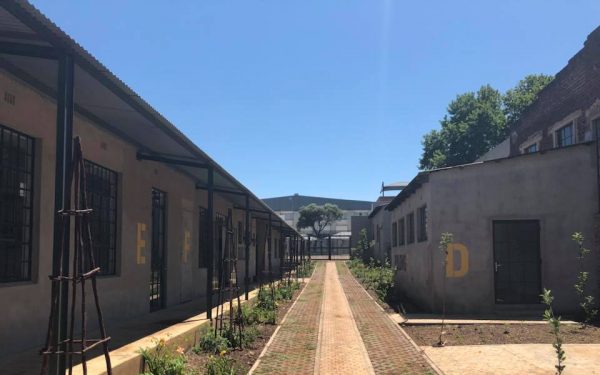 Seeds of possibility planted at Victoria Yards