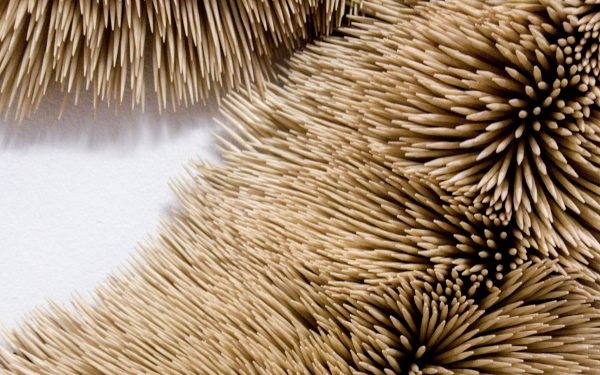 Chris Soal’s First Solo Exhibition – ‘Orbits of Relating’ Opens at NO END Contemporary