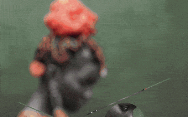 Bubblegum Club selected to be part of the 2018 Aperture Summer Open