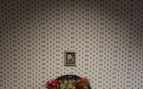 WYAA // Providing Platforms for the Emergence of Young Artists