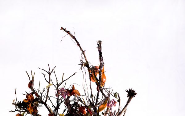 Luke Rudman // Exploring the depths of trash-to-treasure in Avant-garde portraiture