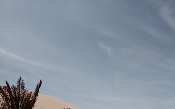 The Strategic Radicals’ Manifesto // In Conversation with Katharina Fink & Emeka Alams