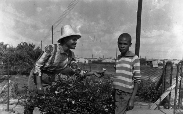 Exploring, Undermining and Disrupting architectures of dominance