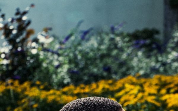 Page through Sakhile Moleshe’s diary