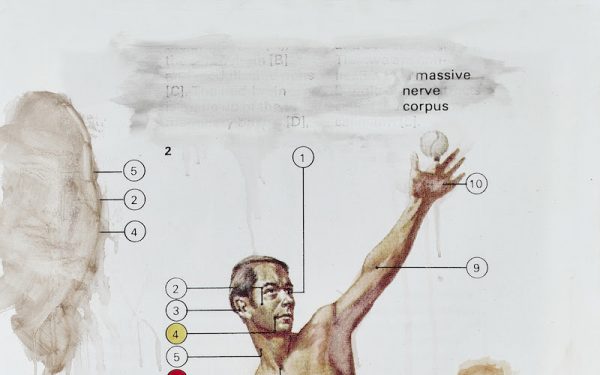 ‘Massive Nerve Corpus’ // Interrogating white masculinity