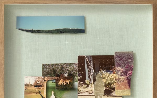 Two Trees // An evocation of feeling and memory