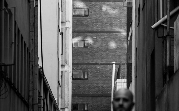 Jumping Back Slash’s ‘Animals’ is a Beautiful Unique Blend of Sound