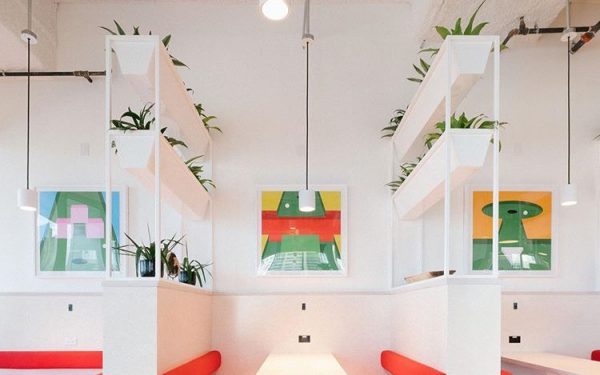 WeWork and the Guru CEO Con