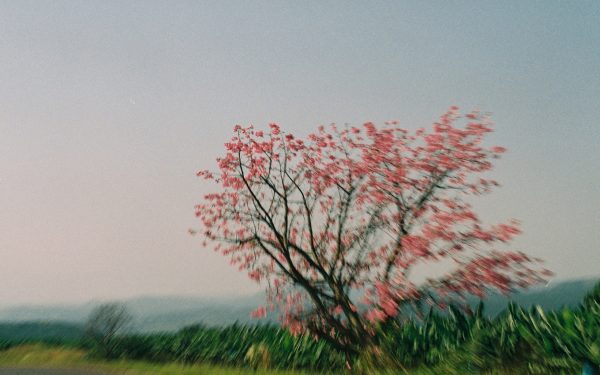 Intricacies of mental health, self love and social solidarity