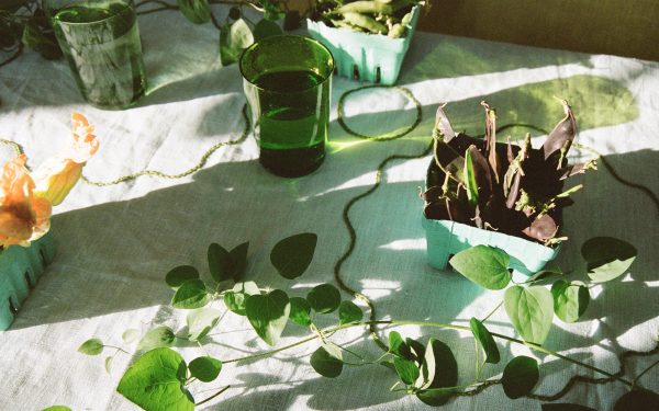 Sinking into New York based artist and designer Ruby Kean’s immersive & playful creations