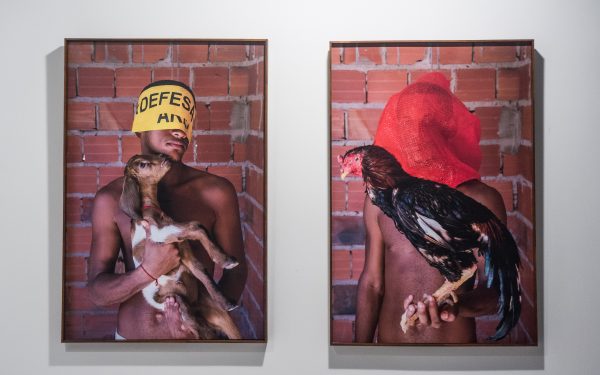 Fiction in the art of Adriano Machado