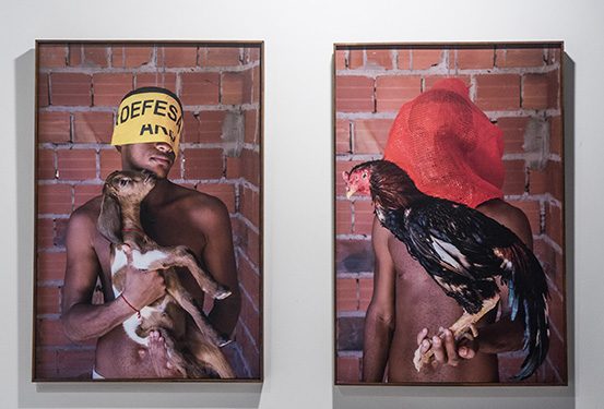 Fiction in the art of Adriano Machado