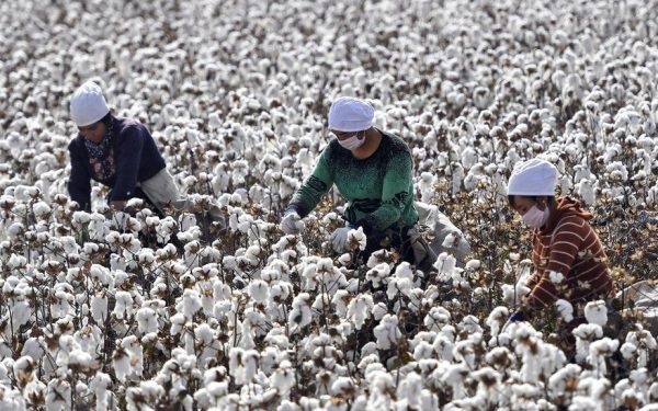 The ugly truth about sustainable fashion