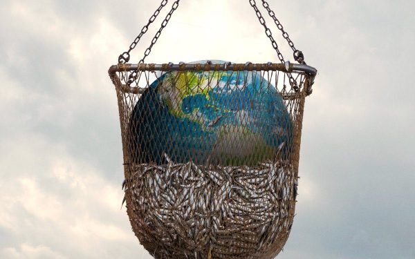 Seaspiracy’s failures and covert racism 