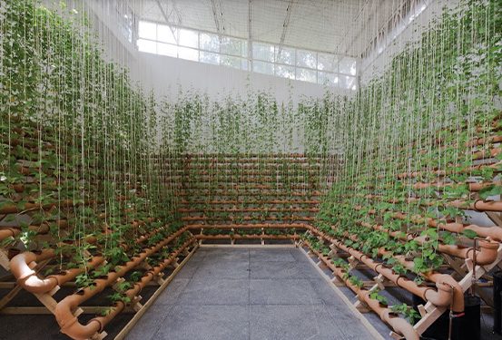 The 34th Bienal de Sao Paulo and its amplitude