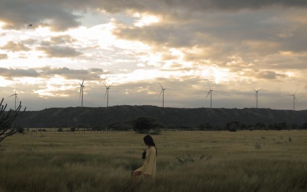 Amanda Valle’s ‘Back in the Island’ — the artist’s emotional homecoming