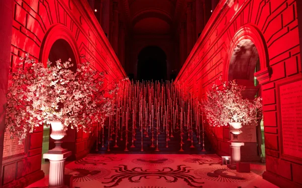 Redefining celebrity: influencers at the Met Gala 