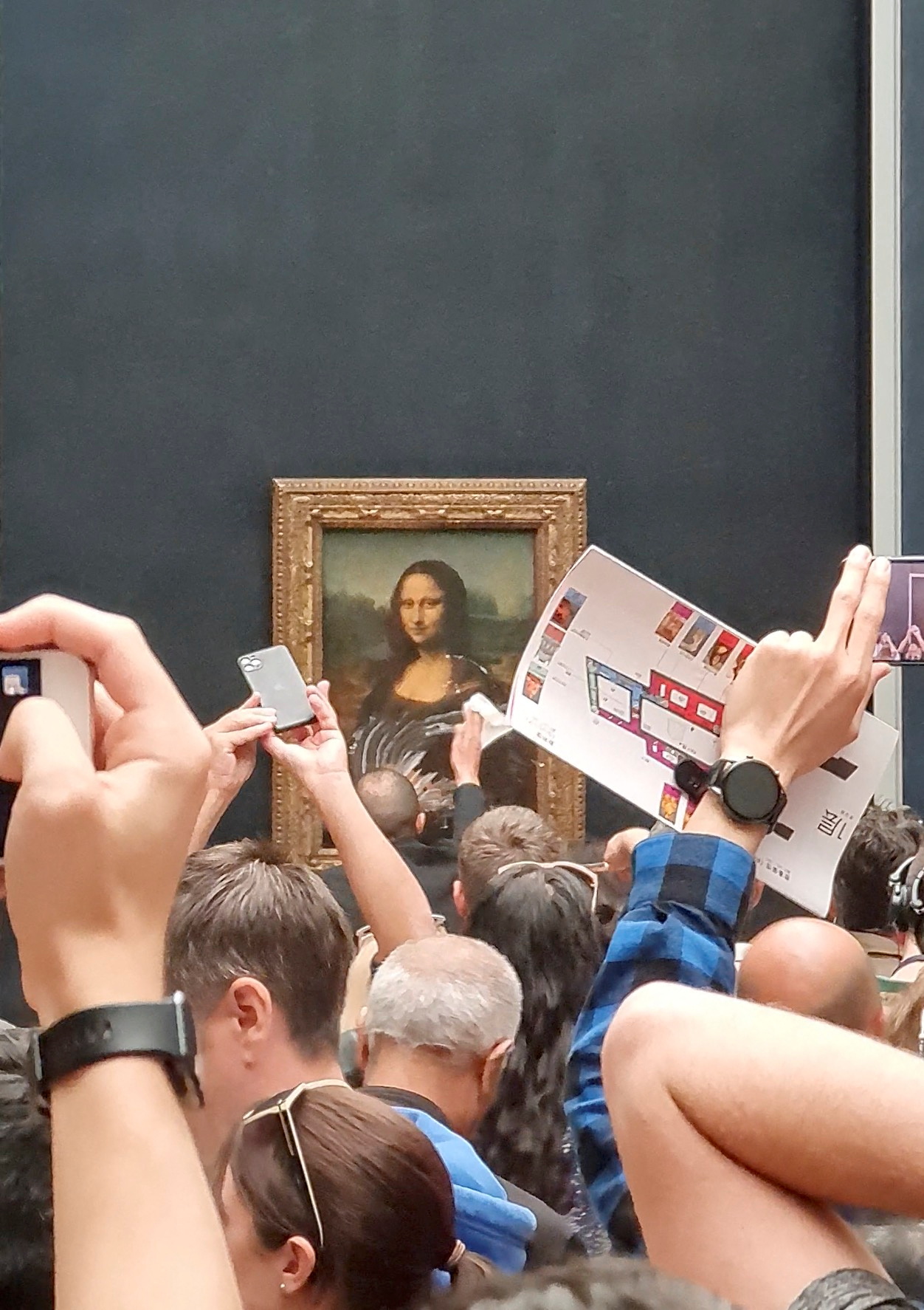 Mona Lisa climate protest