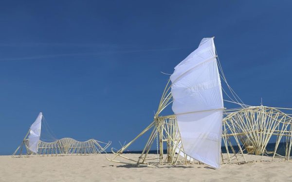 Theo Jansen & the Strandbeest | A kinetic wonder