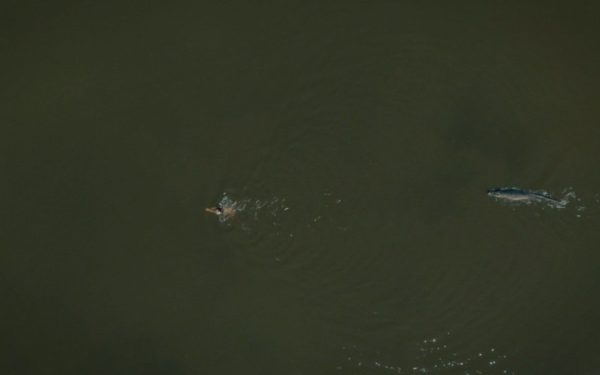 Fashion in 2022 Film | X, The Batman & Everything Everywhere All At Once