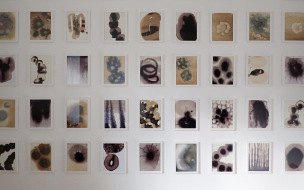 Anke Zurn: Blending Art and Science through Indigo Traditions