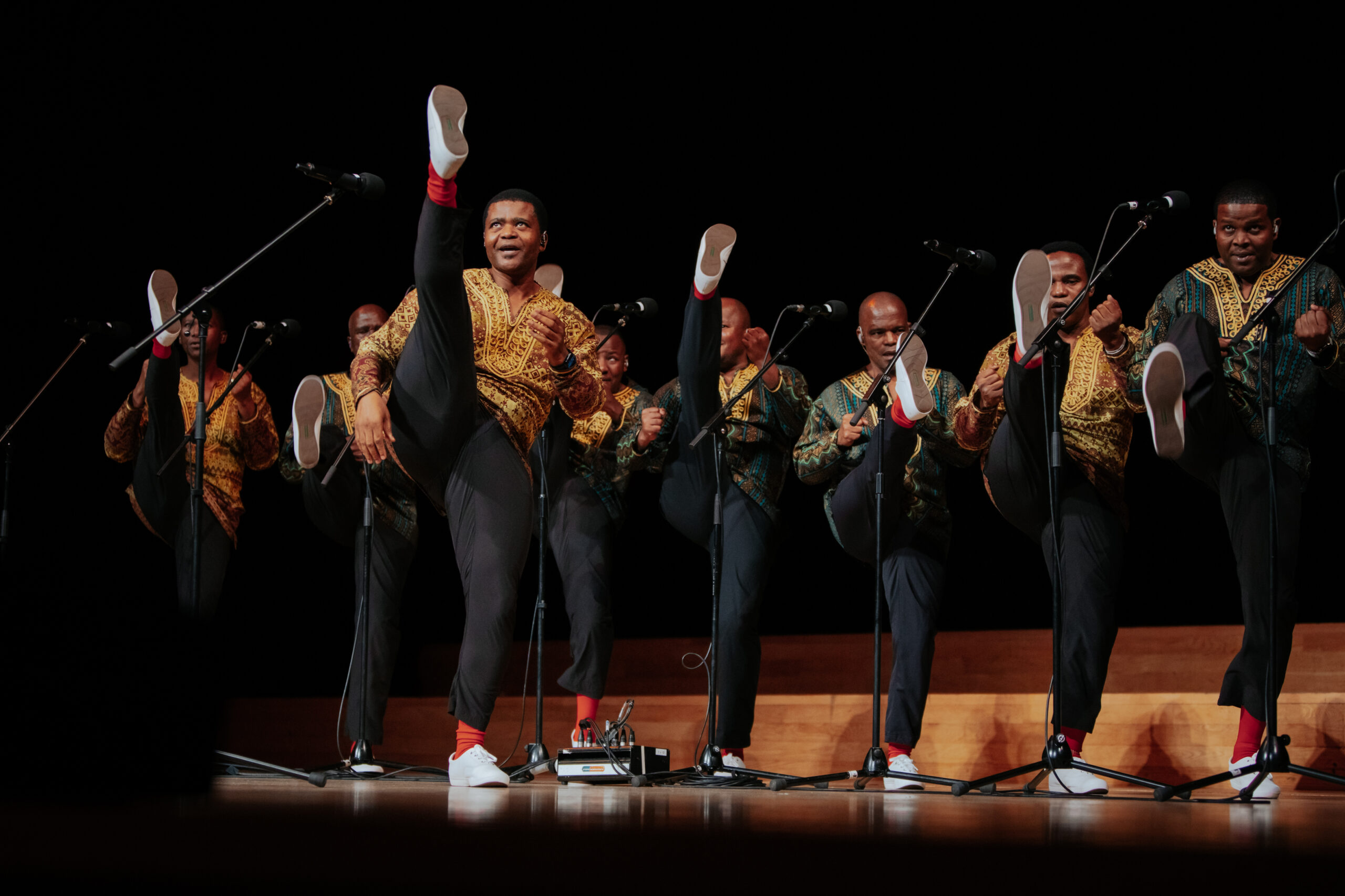 Ladysmith Black Mambazo