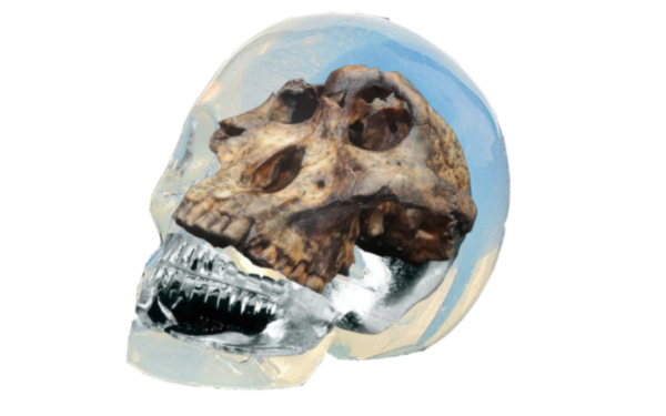 Viviers Studio Unveils “Re-Trace, Re-Memory, Re-Set, Re-Culture” 